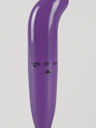 Executive Mini Vibrator